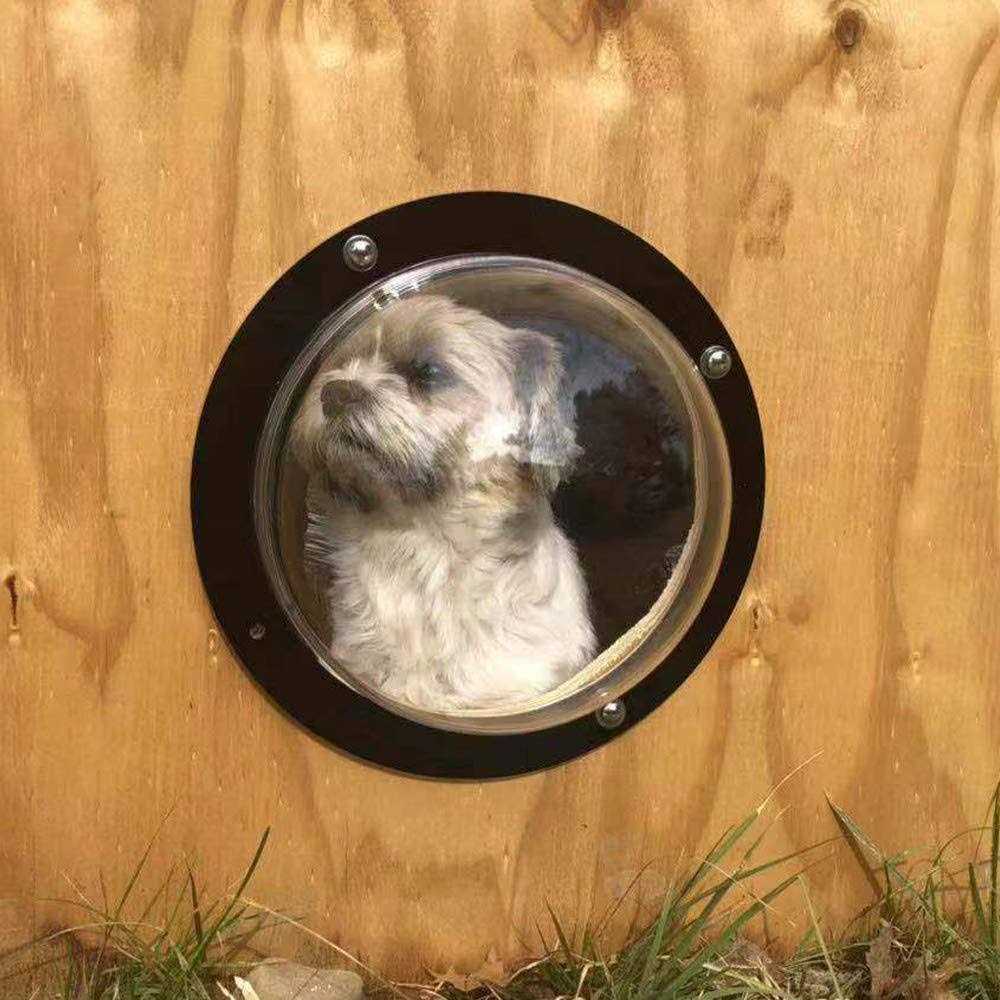 Clear View Dome Pet Peek Window V6569