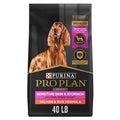 40 lb. Salmon and Rice Dog Food C594514