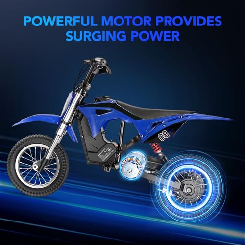 Kids Electric Dirt Bike 36V 350W 3-Speed M895