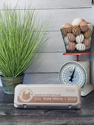 12-Egg Paper Pulp Egg Carton - 50 Pack L499006