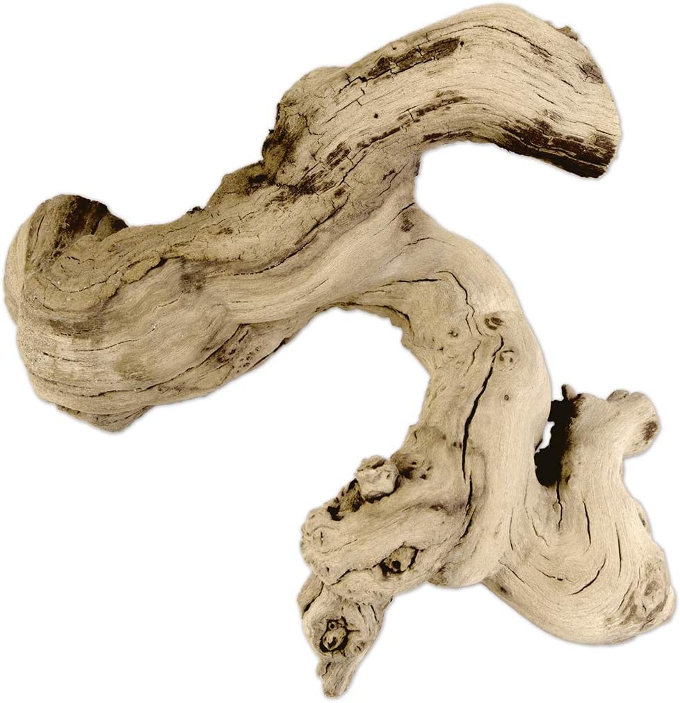Natural Grapewood Vine Branch, 6-Inch Z345