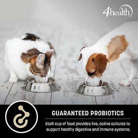 Adult Lamb and Rice Formula Dry Dog Food A477178