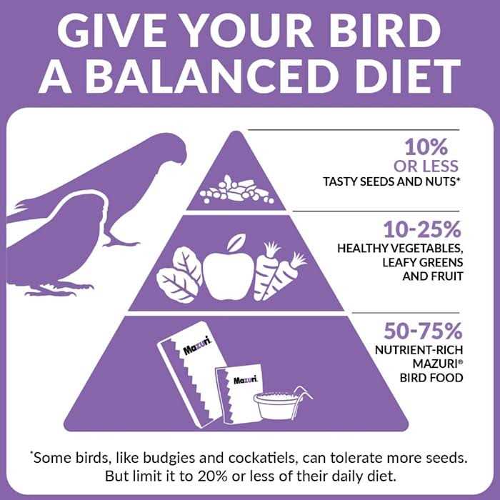 Parrot Maintenance Bird Food J2057
