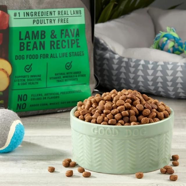 11 Lbs Grain-Free Dry Dog Food (Lamb & Fava Bean) N694