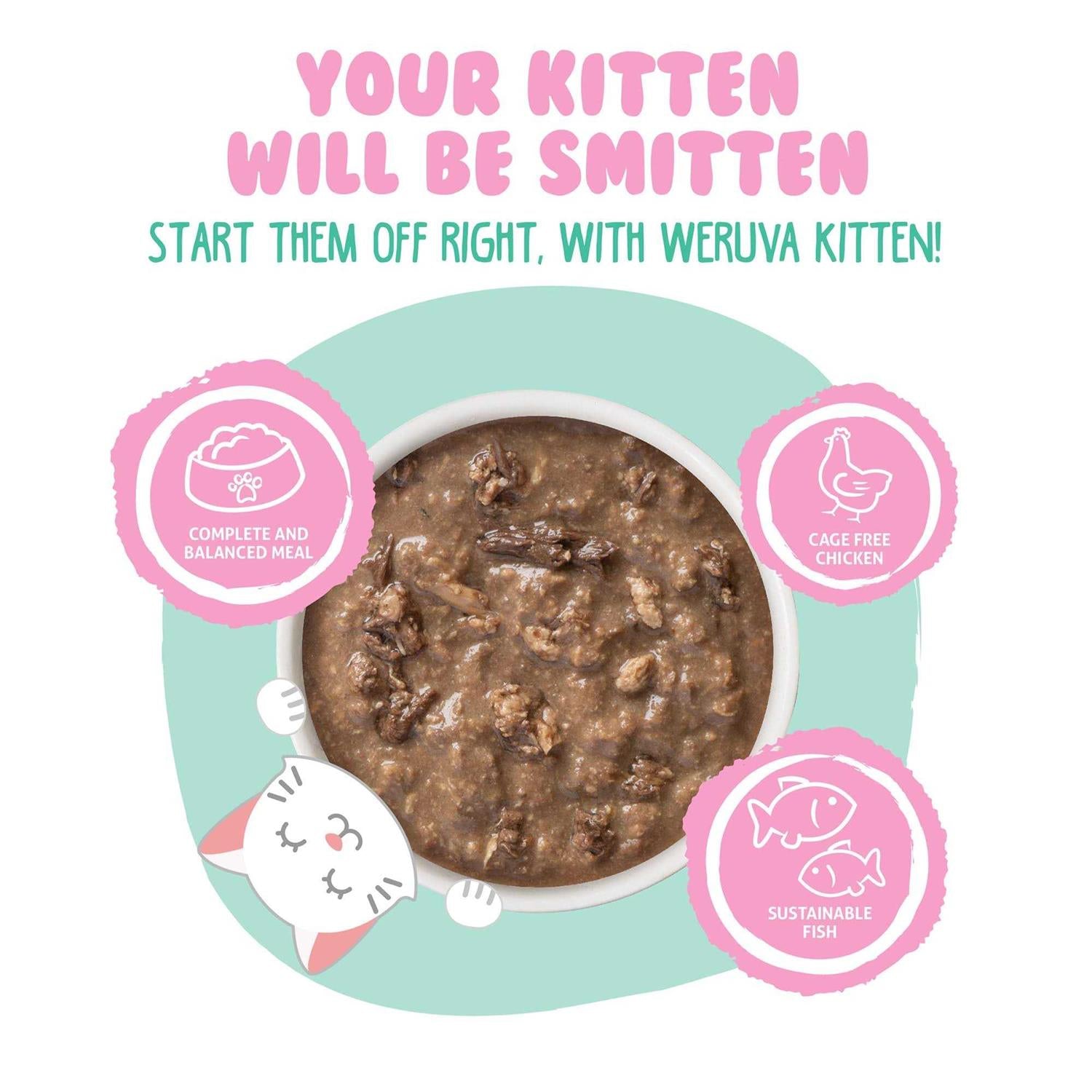 Kitten Chicken & Tuna Formula in Gravy Wet Cat Food P348