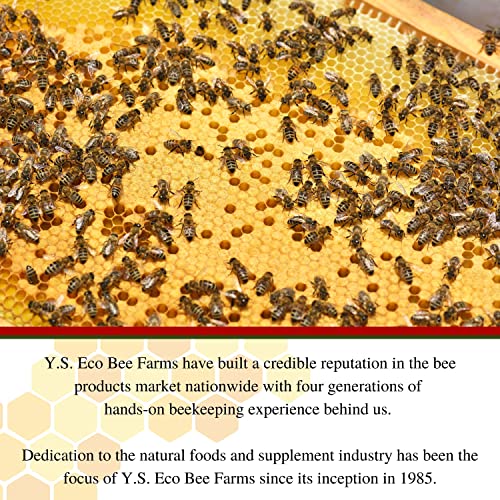 1 Lb Organic Raw Honey N813537