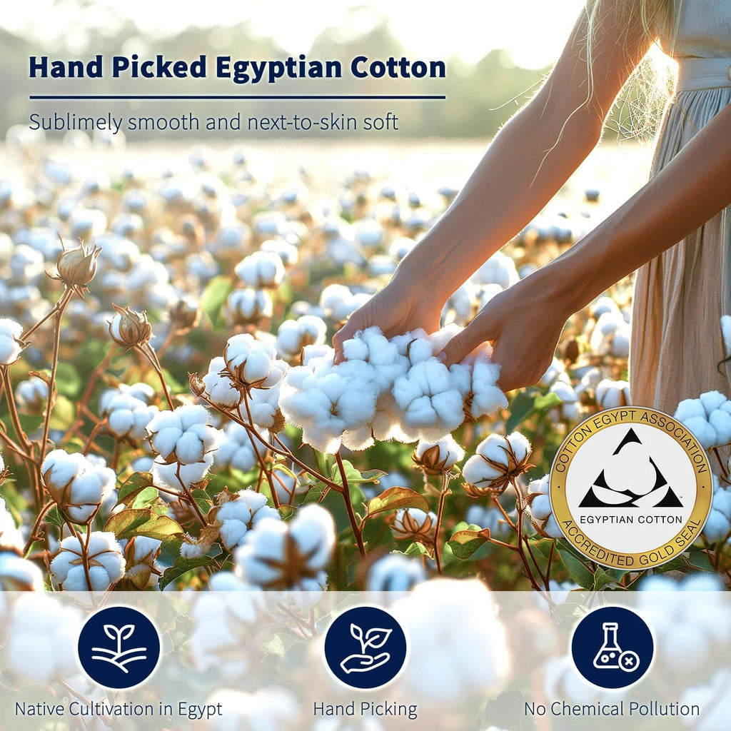 King Size 4-Piece 100% Egyptian Cotton Sheets Set B284