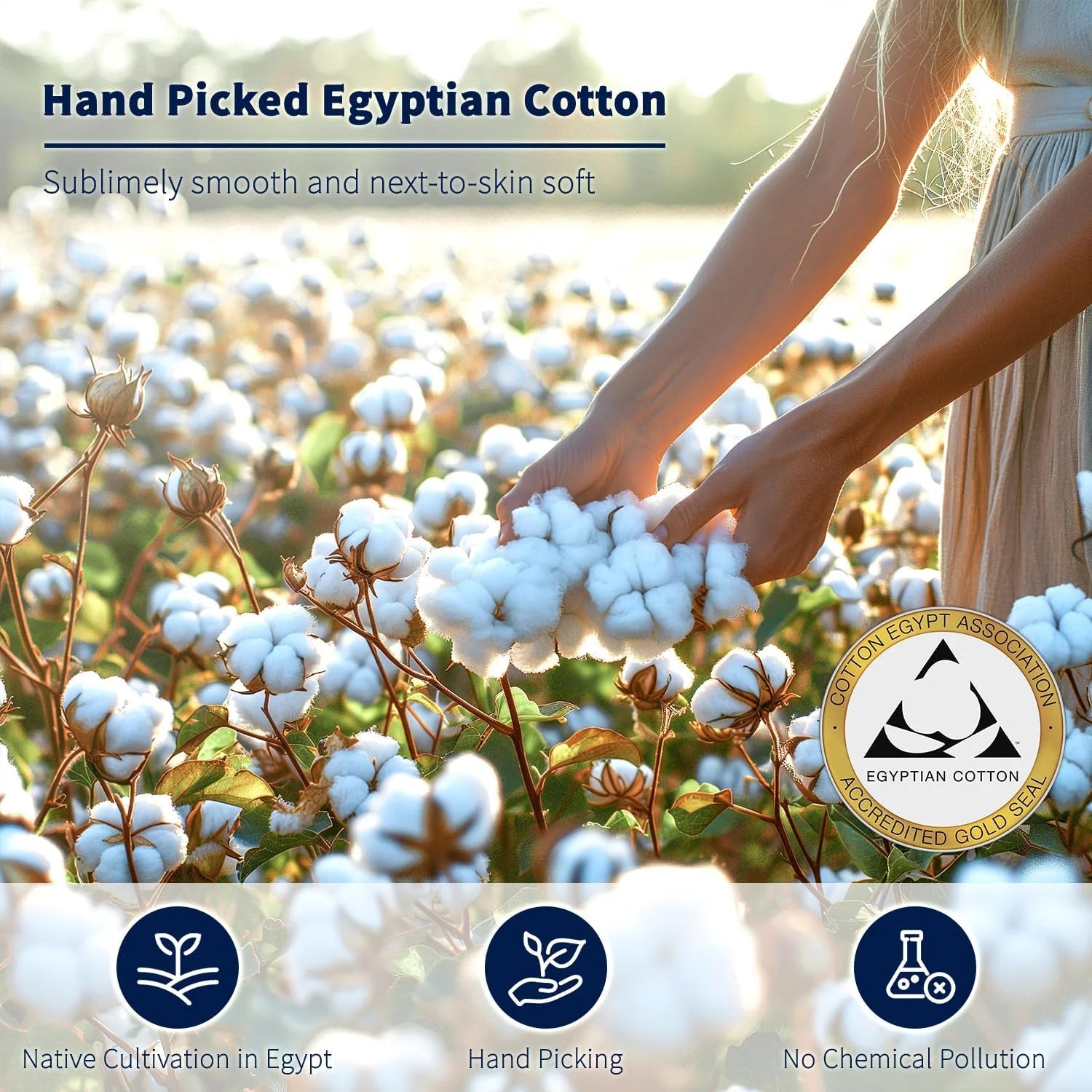 King Size 4-Piece 100% Egyptian Cotton Sheets Set B284