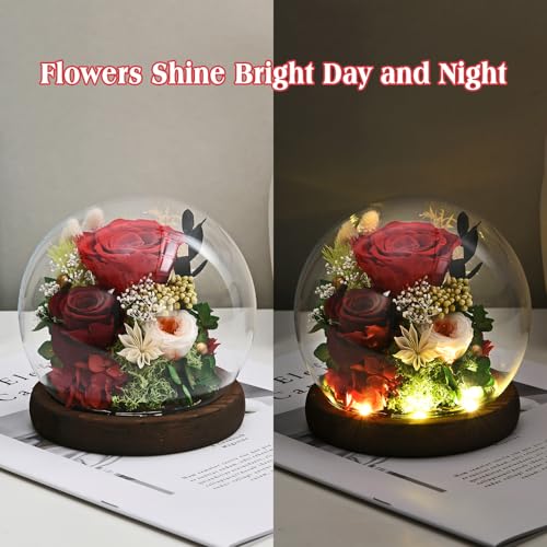 Rose in Glass Dome with LED Light K52292
