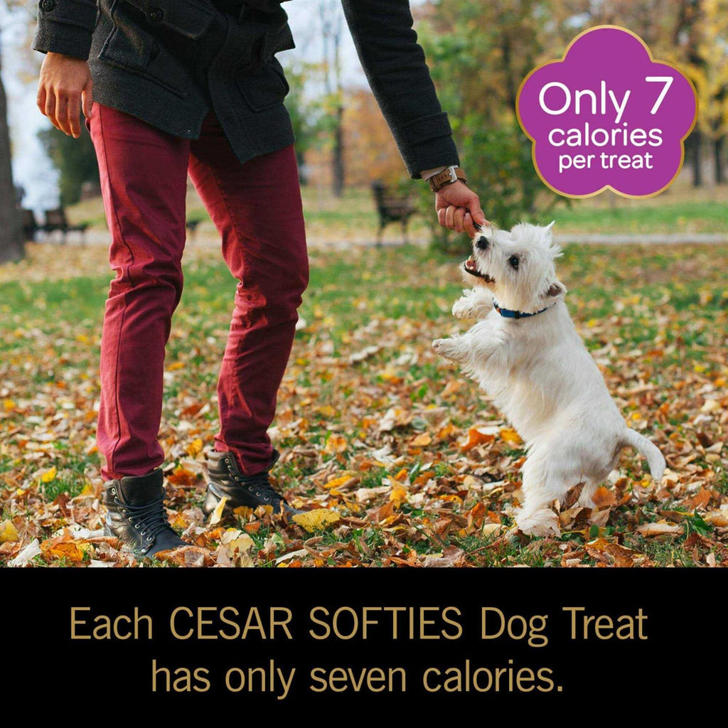 Softies Dog Treats Y784