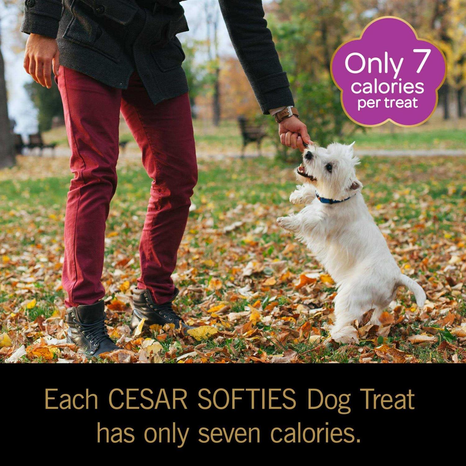 Softies Dog Treats Y784