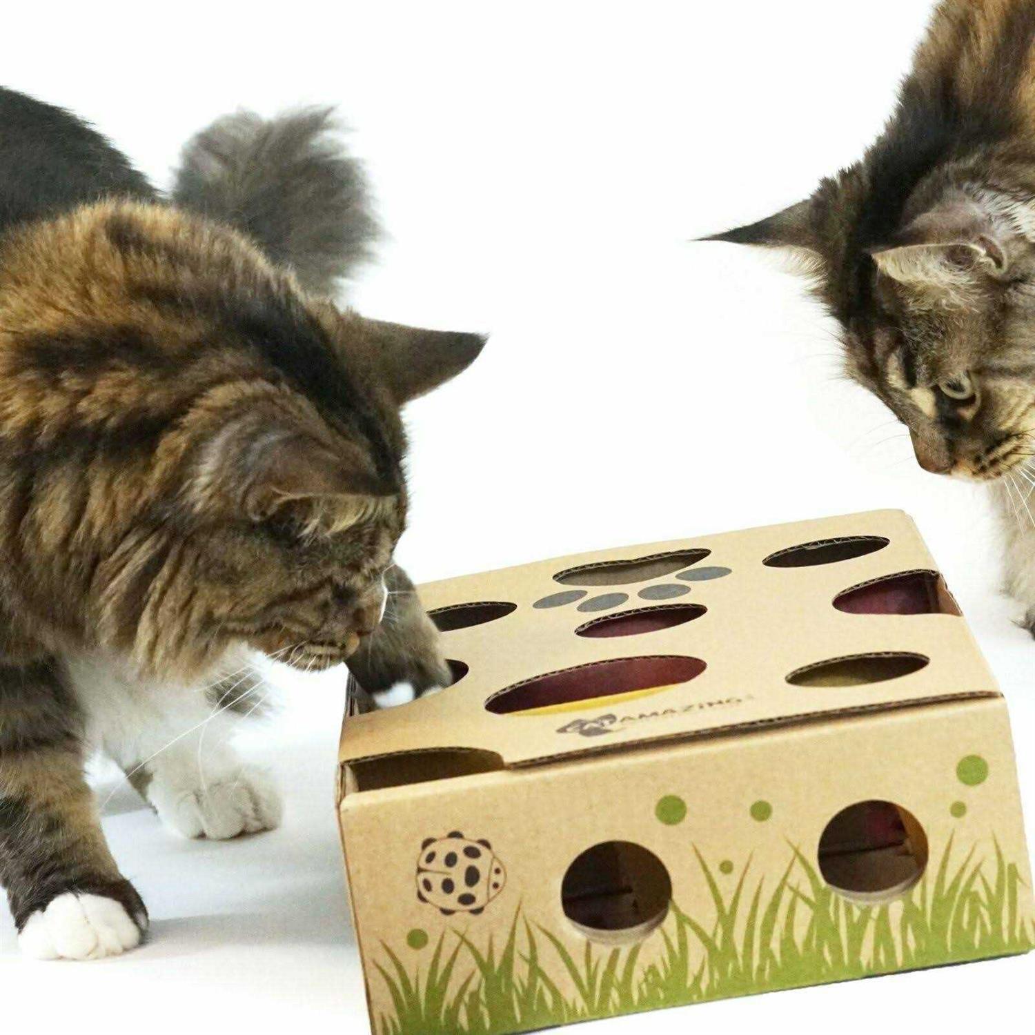 Interactive Treat Maze Puzzle Feeder for Cats I7266