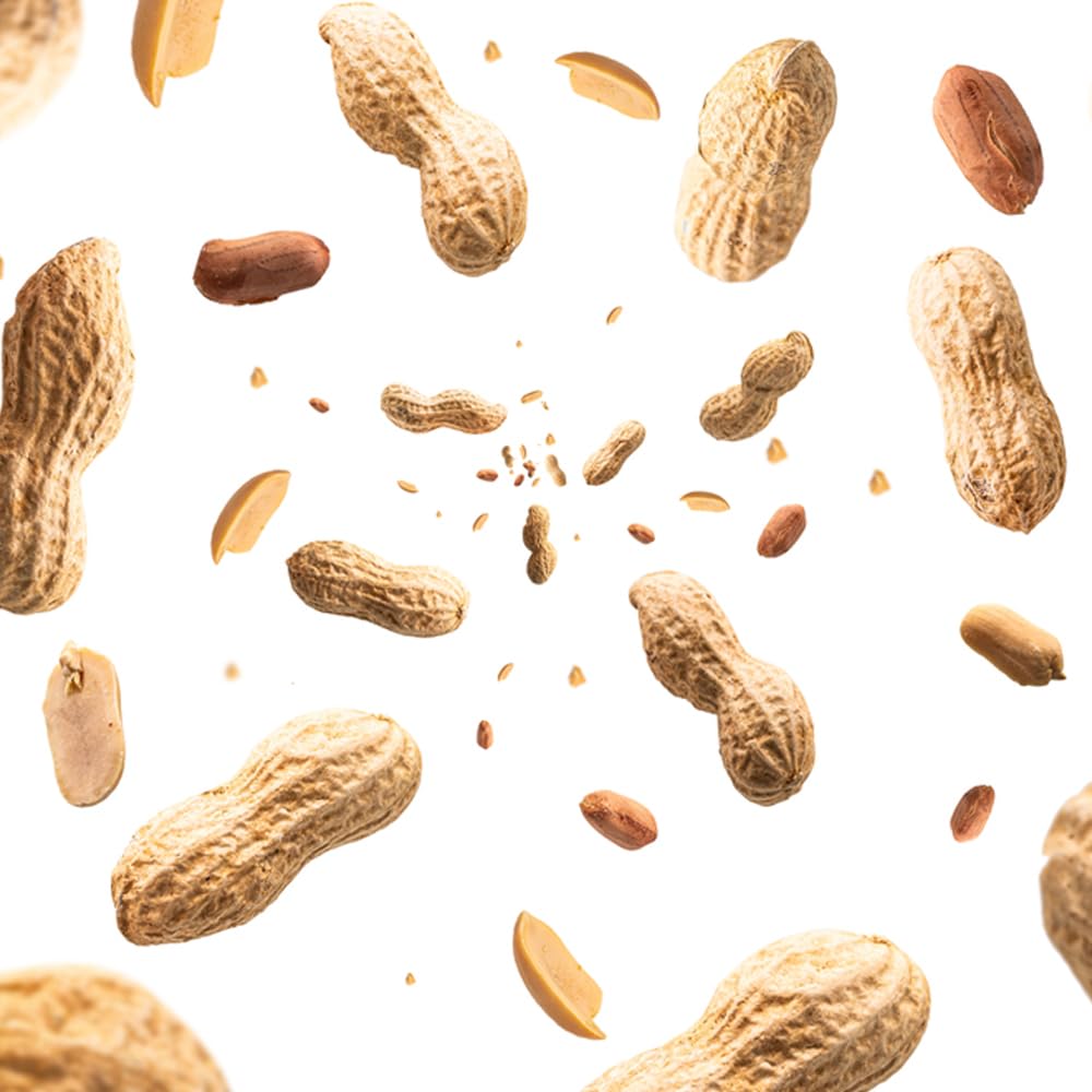 Plain In Shell Peanuts 2 lbs N1177
