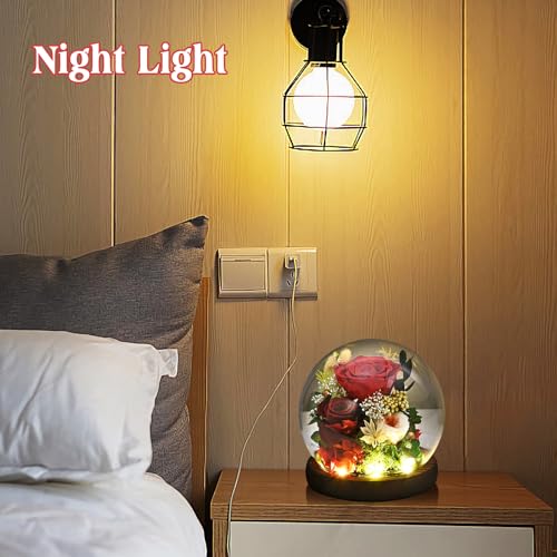 Rose in Glass Dome with LED Light K52292
