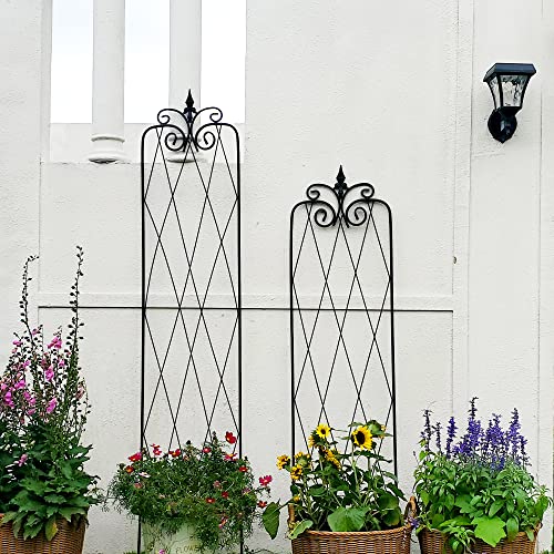 2 Pack 71" H x 15" W Black Metal Garden Trellis Z38953
