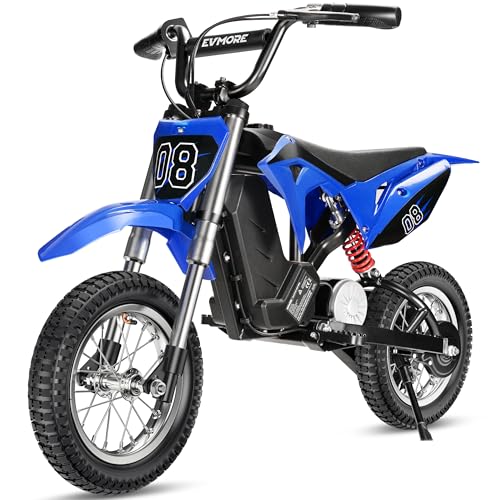 Kids Electric Dirt Bike 36V 350W 3-Speed M895