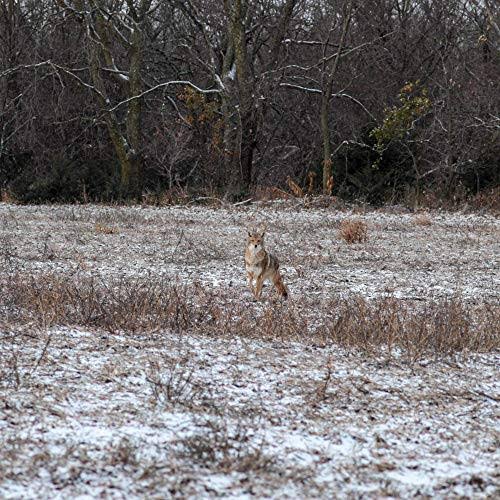 Predator Call I7129