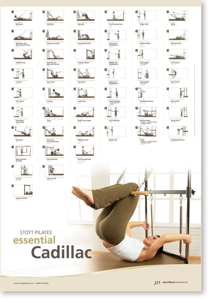 Essential Cadillac Wall Chart A73927