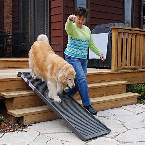 Khaki/Beige Folding Pet Ramp L112067