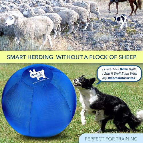 18" Herding Ball for Dogs X40667