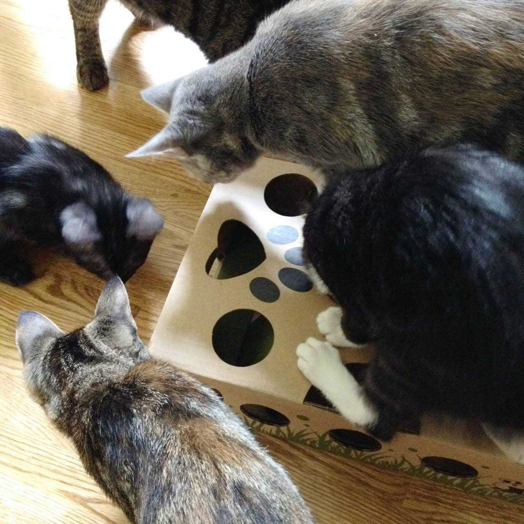 Interactive Treat Maze Puzzle Feeder for Cats I7266