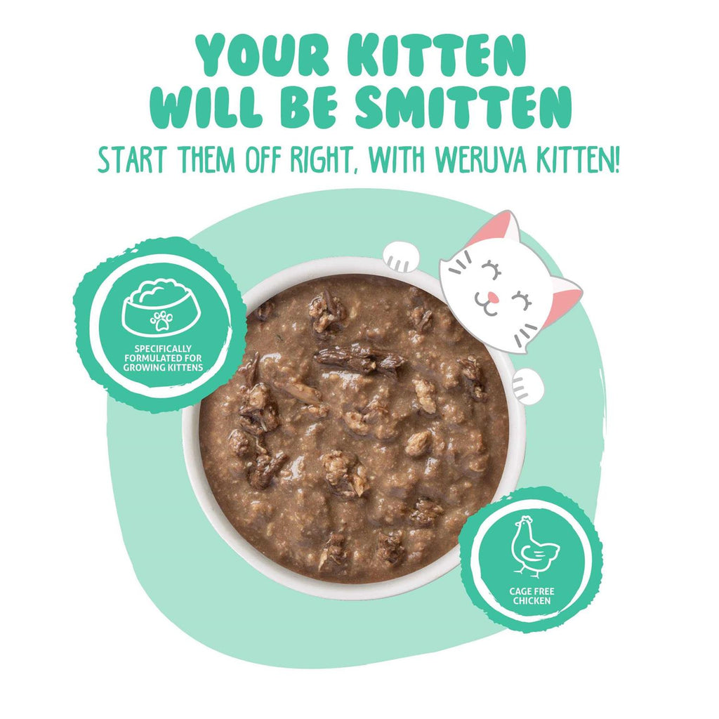 Kitten Chicken & Tuna Formula in Gravy Wet Cat Food P348