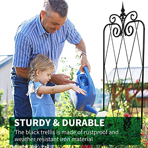2 Pack 71" H x 15" W Black Metal Garden Trellis Z38953