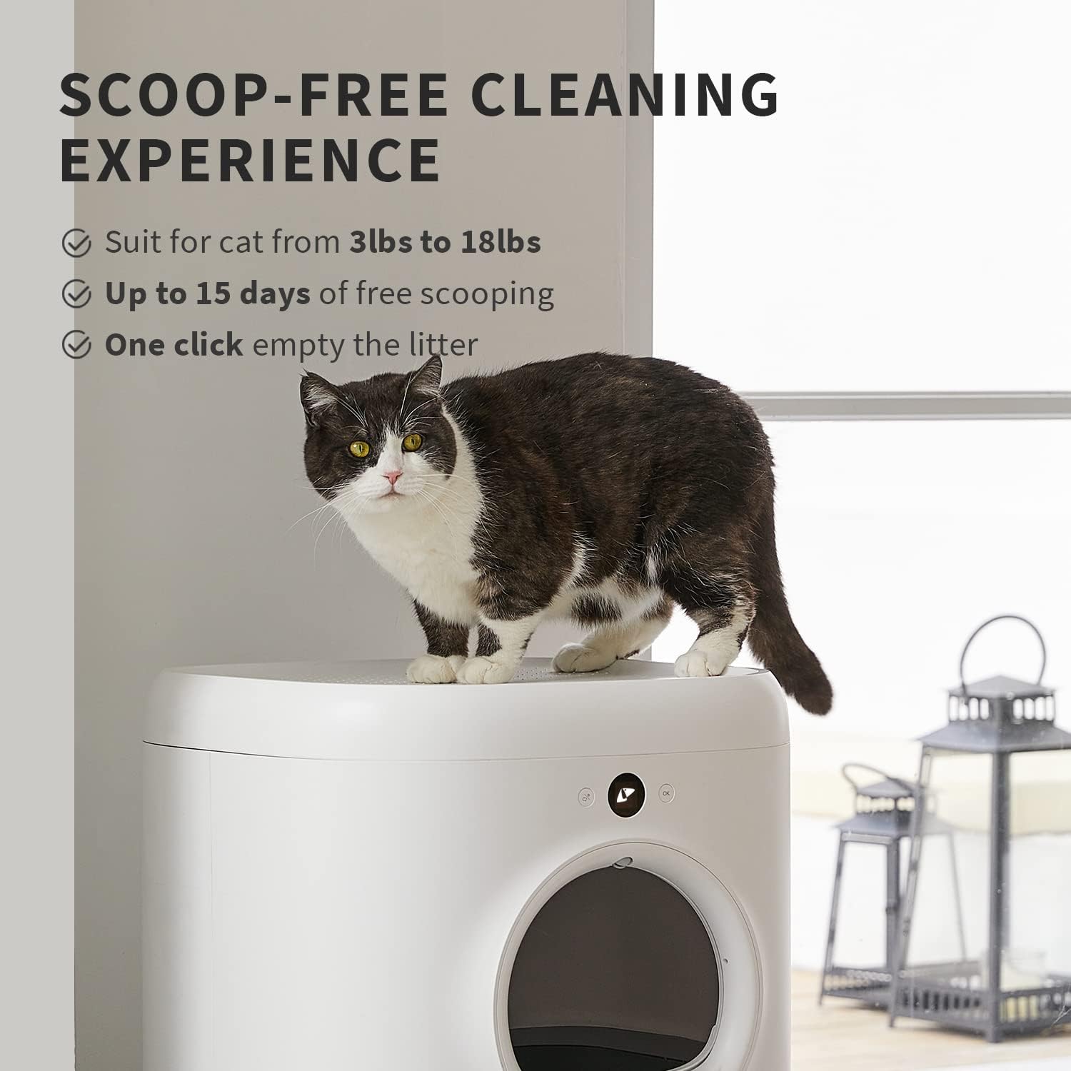 Self-Cleaning Litter Box with Mat U6198