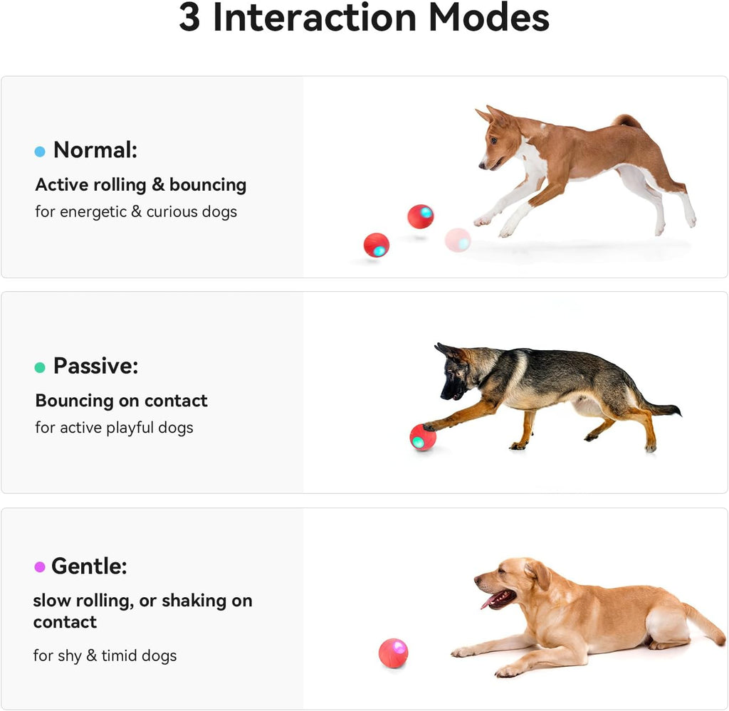 Smart Interactive Dog Toy with LED Lights N70314