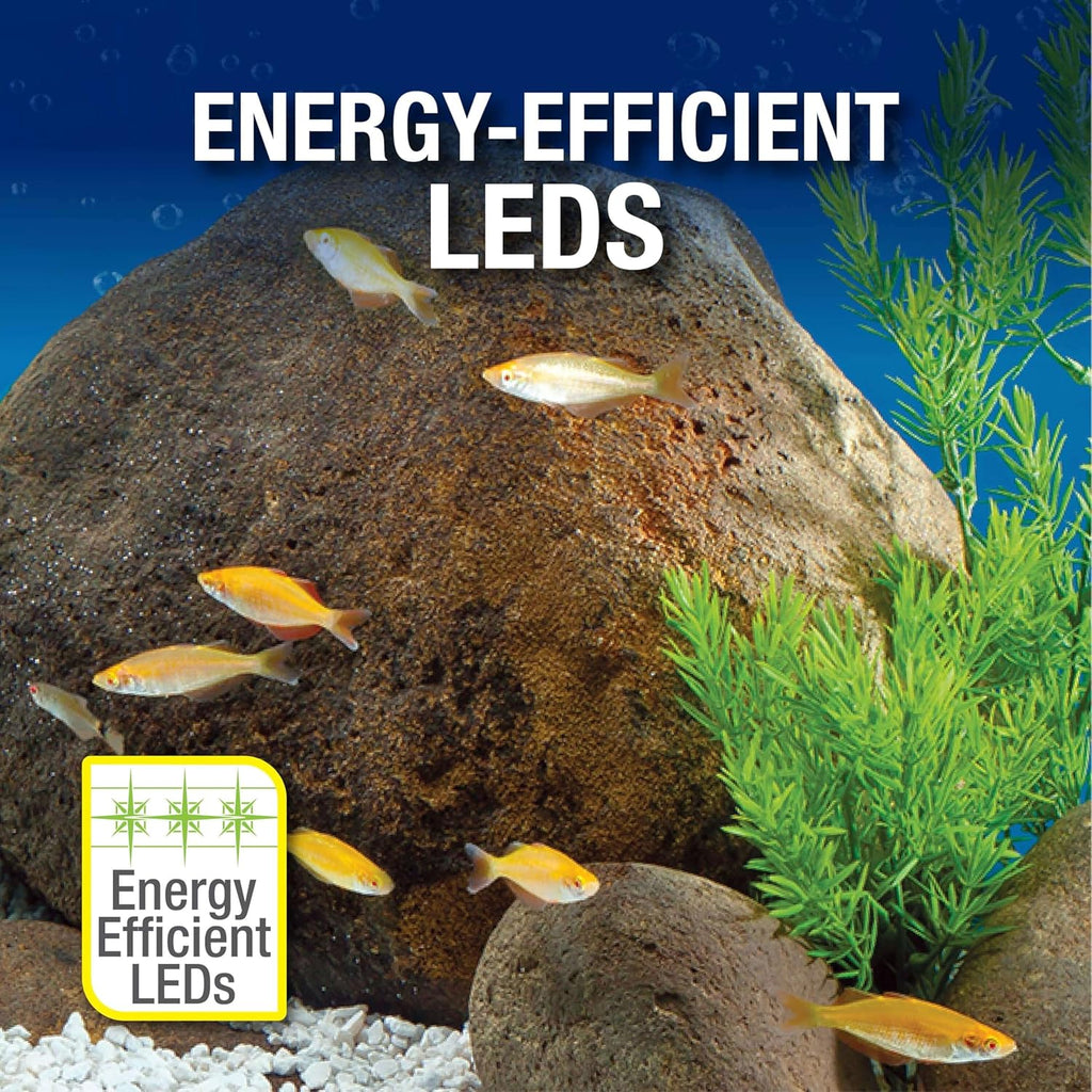 20 Gallon Complete Tropical Fish Tank Kit with LED Lighting U7461