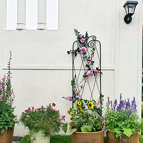 2 Pack 71" H x 15" W Black Metal Garden Trellis Z38953