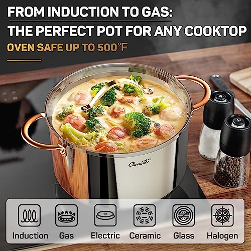 3 Ply Stainless Steel 8 Quart Stock Pot with Lid B8143