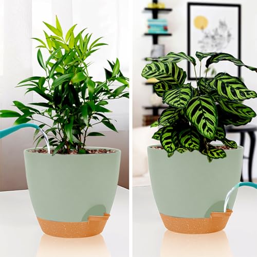 8/7/6.5/6/5.5/5 Inch White Self Watering Plastic Planters U52778