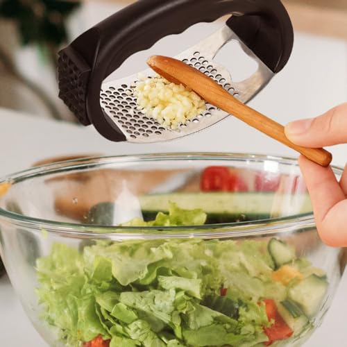 Stainless Steel Garlic Presser Z64081