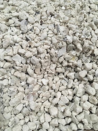 Natural Crushed Oyster Shell with Calcium (2 lb) X220629