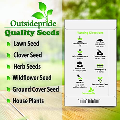 1000 Seeds Perennial Clematis Climbing Vine Garden Seeds U52960