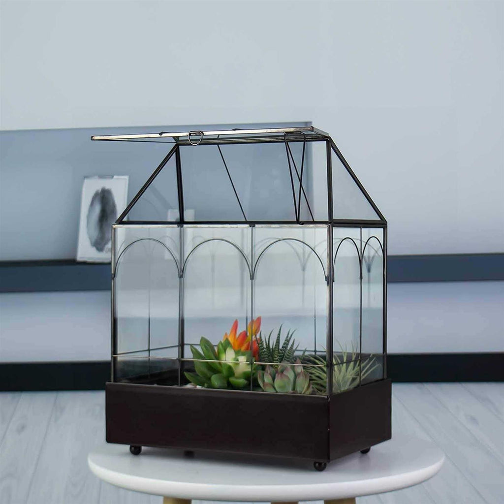 Large Tall Glass Plant Terrarium with Lip and Tray A691