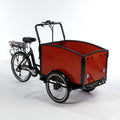 3-Wheel Electric Tricycle Z325060