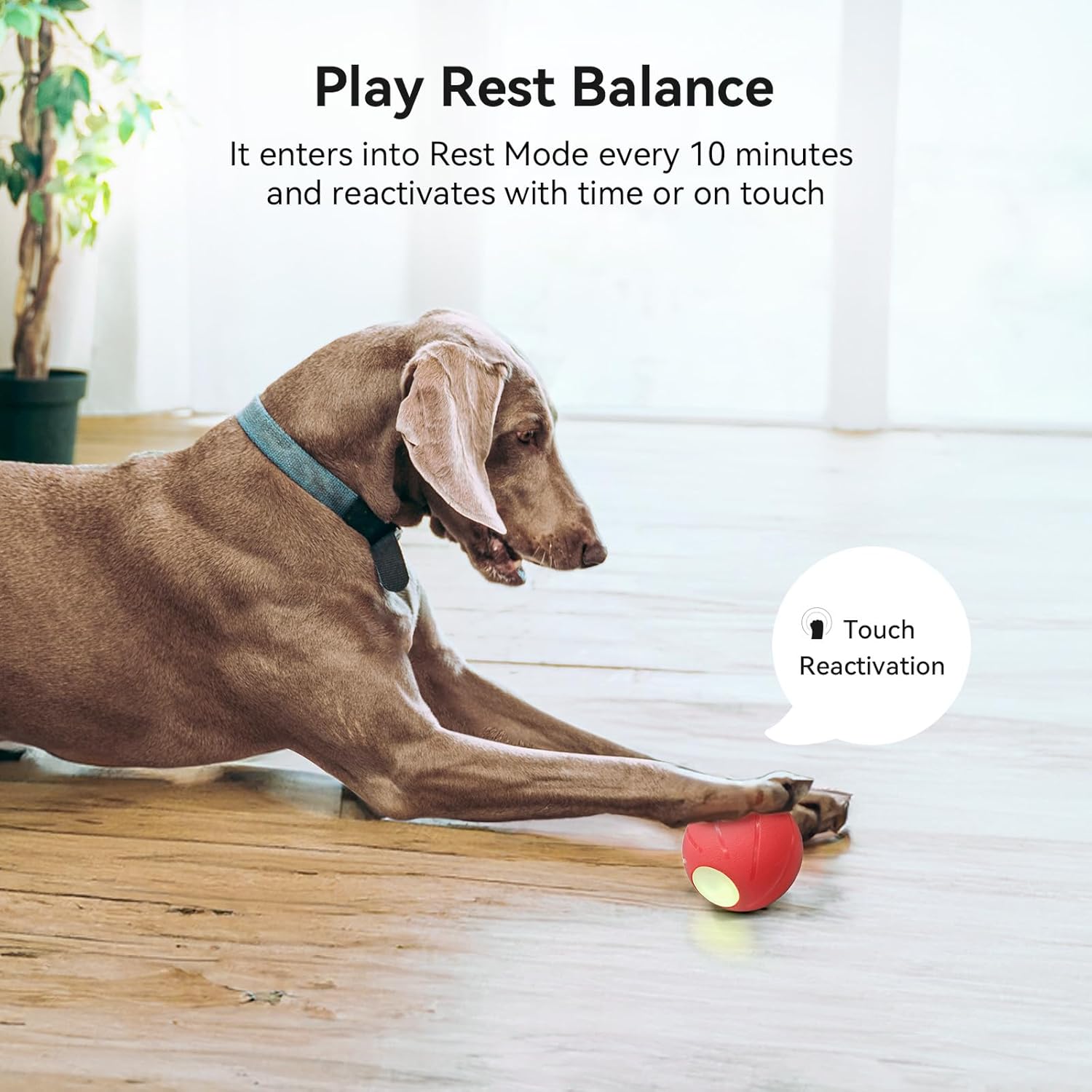 Smart Interactive Dog Toy with LED Lights N70314