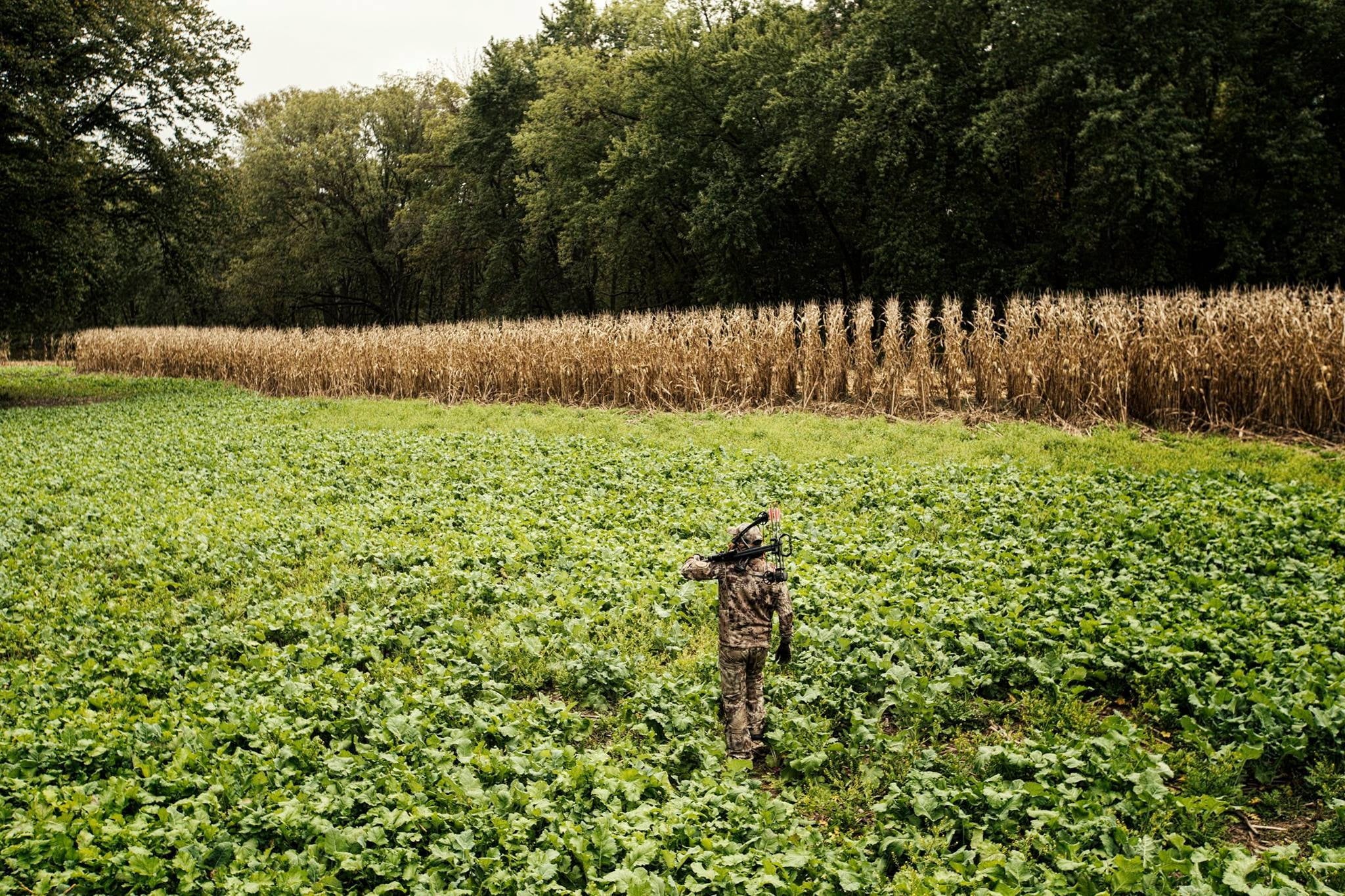 Mega Plot Hunter Series Wild Game Food Plot Seed E737680