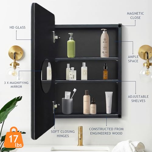 Frameless Beveled Medicine Cabinet Mirror with Storage K590