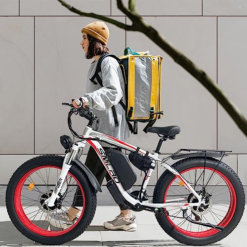 2000W Dual Motor 48V 22Ah Fat Tire Electric Bike Z3239