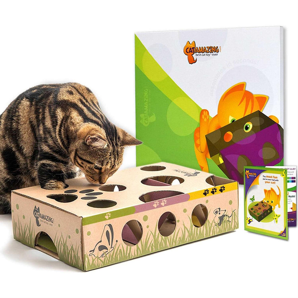 Interactive Treat Maze Puzzle Feeder for Cats I7266