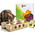 Interactive Treat Maze Puzzle Feeder for Cats I7266