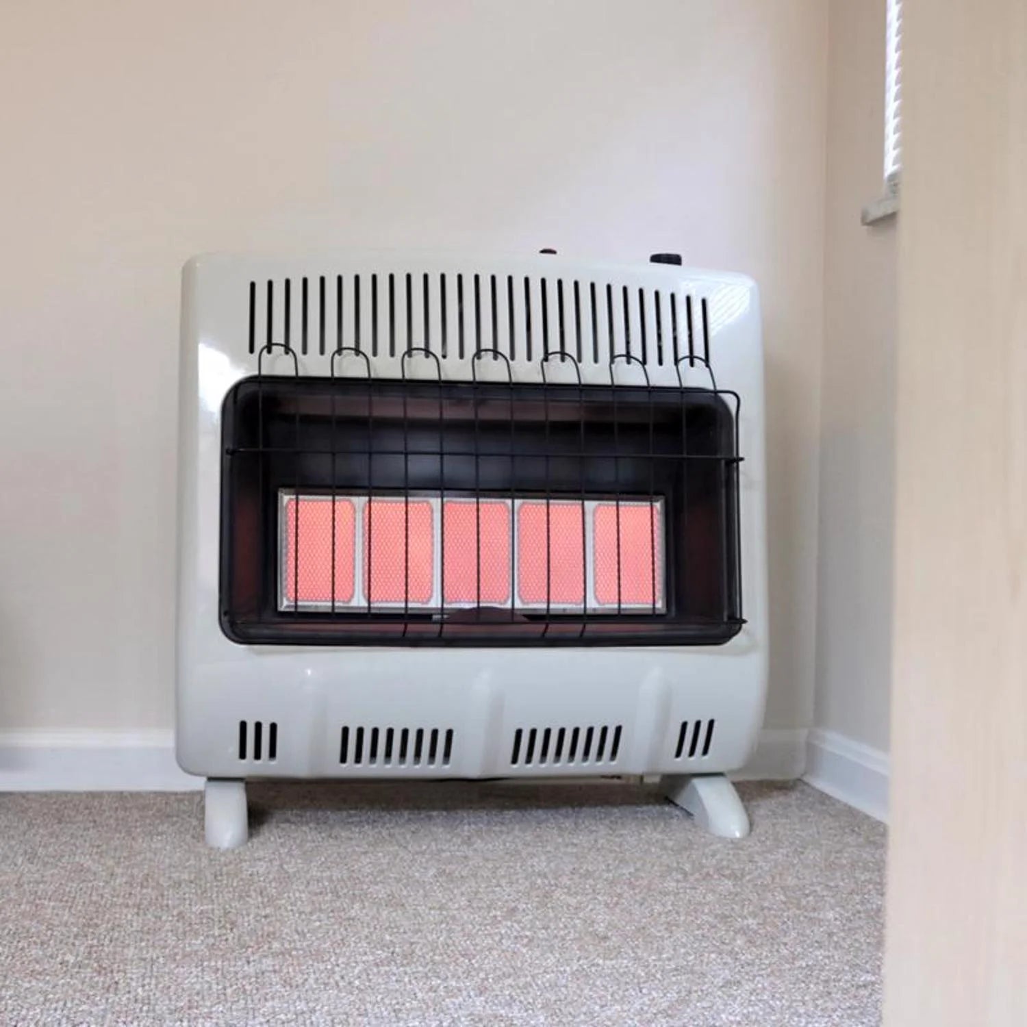 30000 Btu/h Radiant Propane Heater D3887