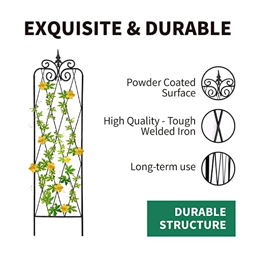 2 Pack 71" H x 15" W Black Metal Garden Trellis Z38953