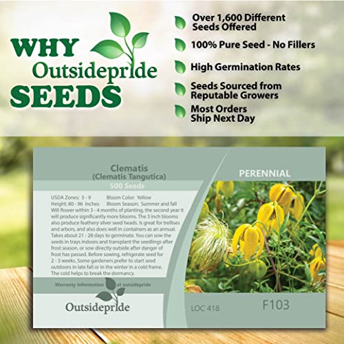 1000 Seeds Perennial Clematis Climbing Vine Garden Seeds U52960