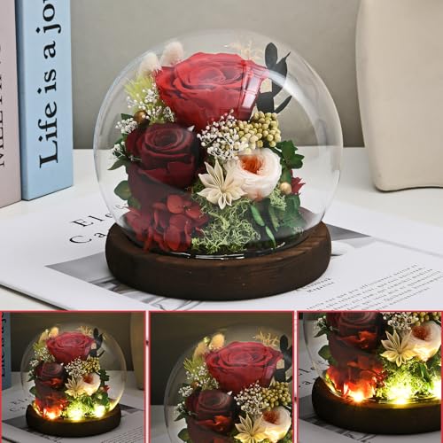 Rose in Glass Dome with LED Light K52292