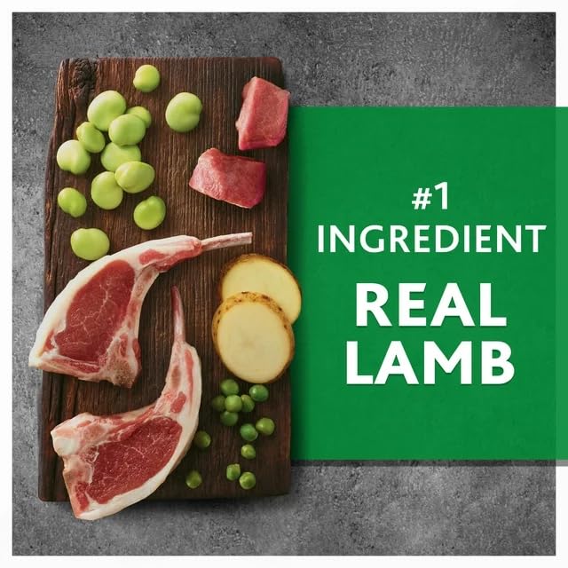 11 Lbs Grain-Free Dry Dog Food (Lamb & Fava Bean) N694