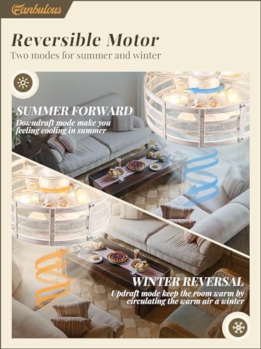 White and Gold 16in Caged Ceiling Fan with Lights and Remote U206630